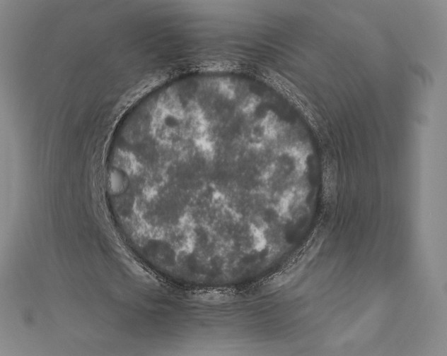 X0000112040721200908311235