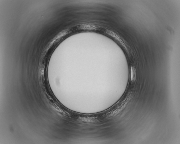 X0000112040723200908311235