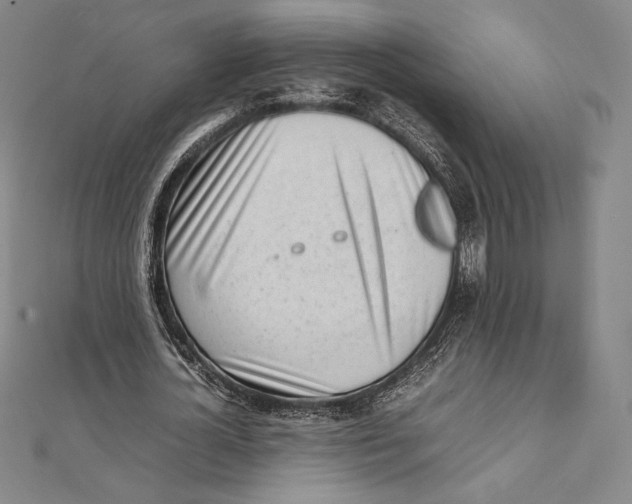 X0000112040724200908311235