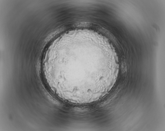 X0000112040725200908311235