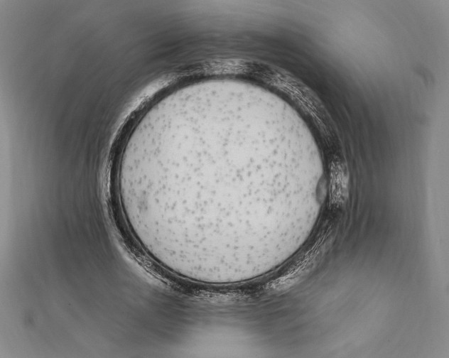 X0000112040726200908311235