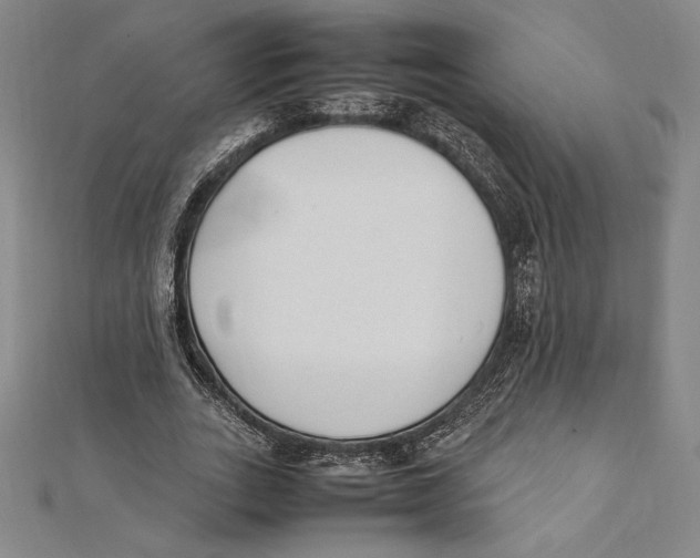 X0000112040727200908311235