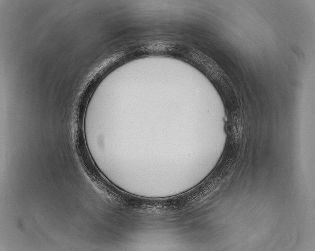 X0000112040728200908311235