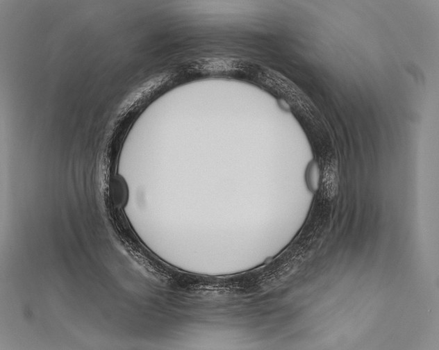 X0000112040732200908311235