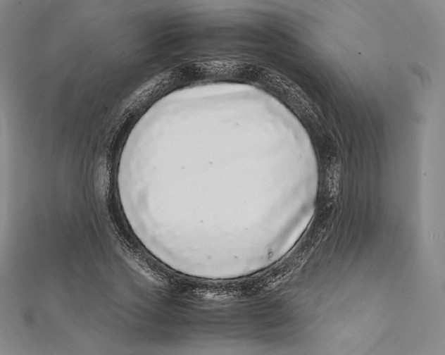 X0000112040733200908311235