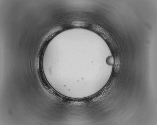 X0000112040734200908311235