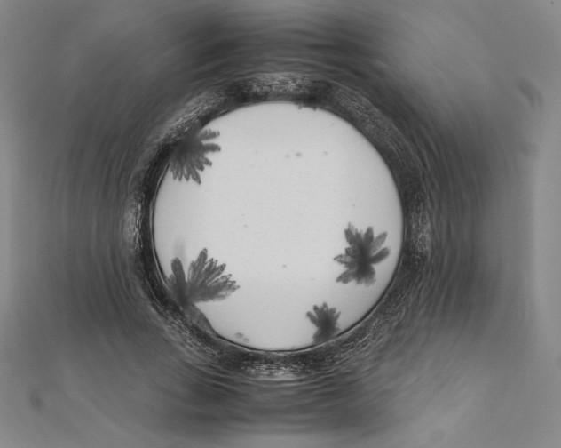 X0000112040735200908311235
