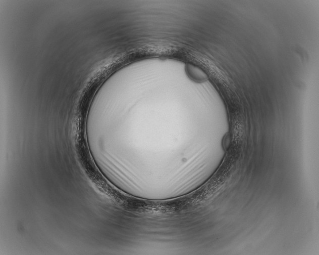 X0000112040736200908311235
