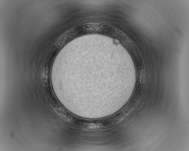 X0000112040737200908311235
