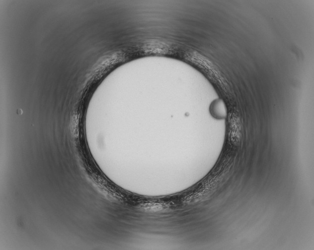 X0000112040738200908311235