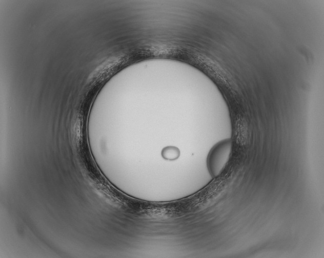 X0000112040740200908311235