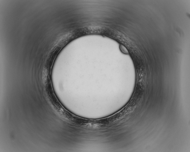 X0000112040742200908311235