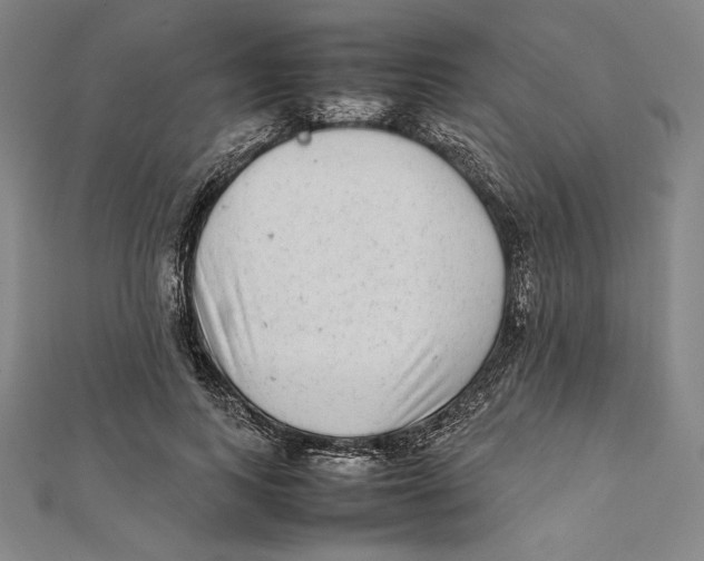 X0000112040743200908311235