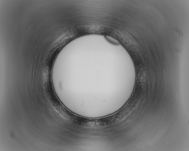 X0000112040744200908311235