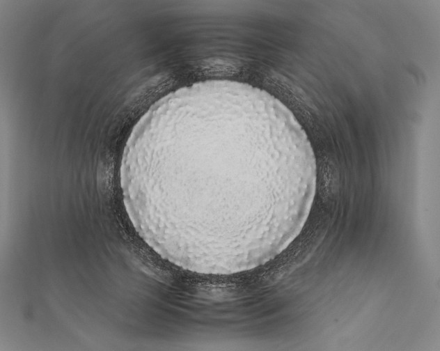 X0000112040745200908311235