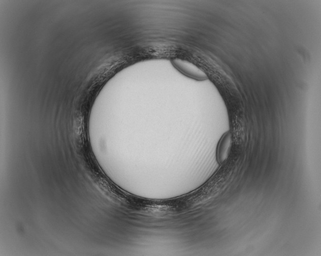 X0000112040748200908311235