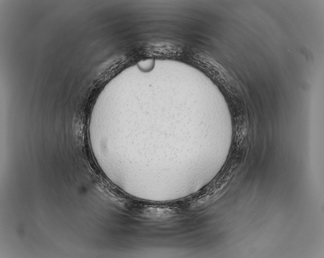 X0000112040749200908311235