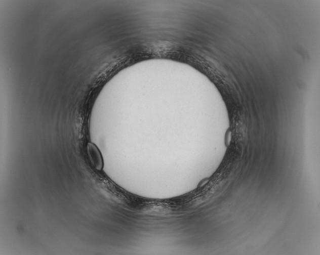X0000112040750200908311235