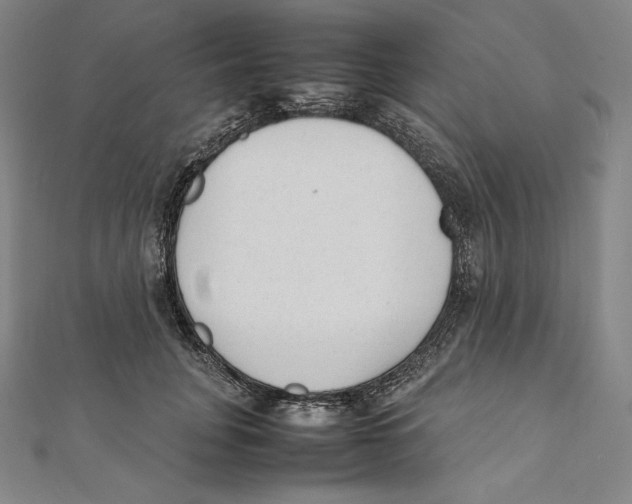 X0000112040751200908311235