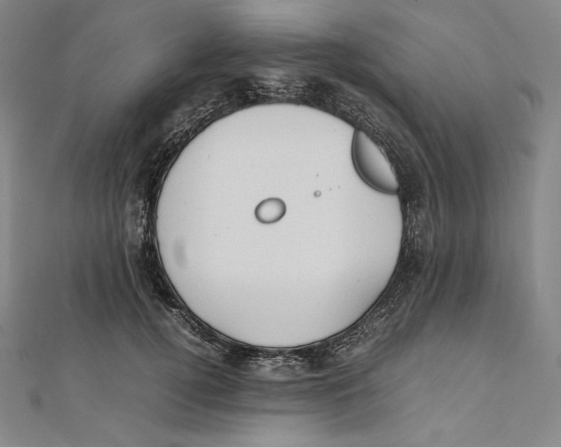 X0000112040752200908311235