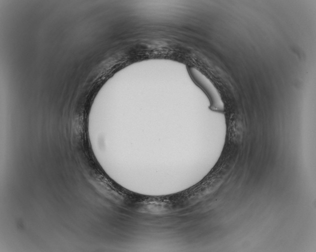 X0000112040756200908311236