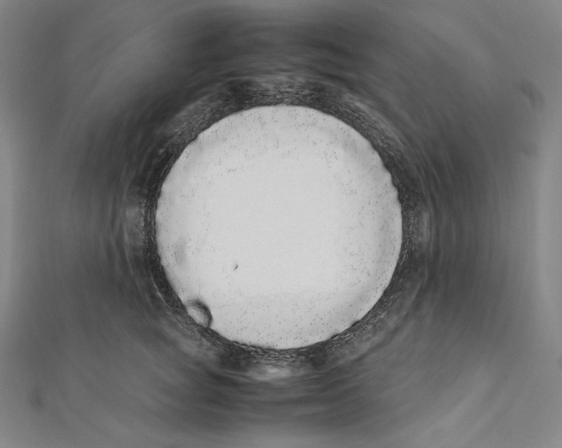 X0000112040757200908311236