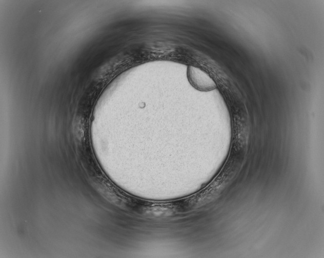 X0000112040758200908311236