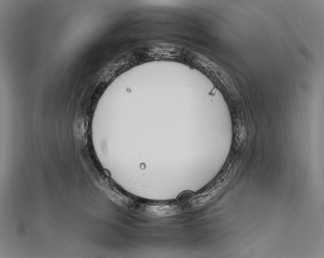 X0000112040759200908311236