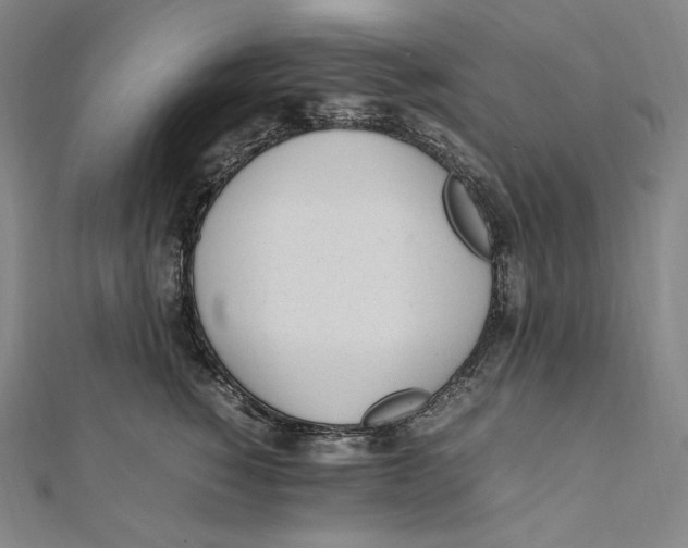 X0000112040760200908311236