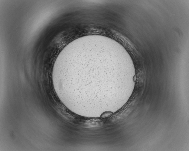 X0000112040761200908311236