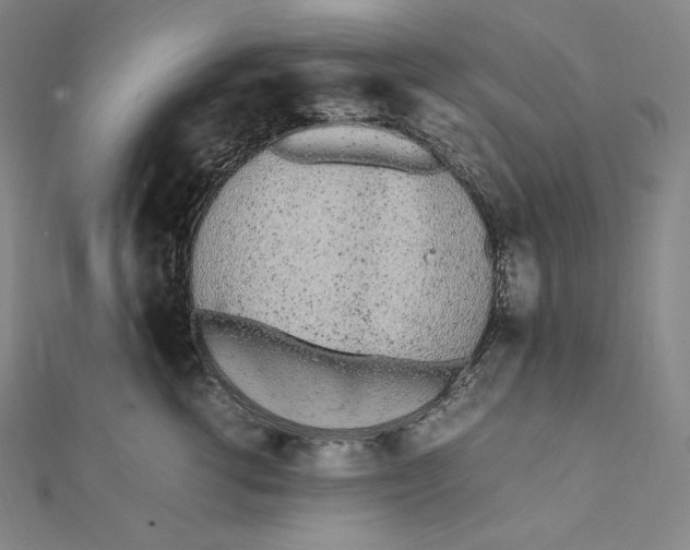 X0000112040762200908311236