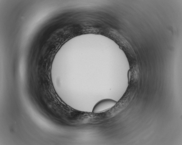 X0000112040764200908311236