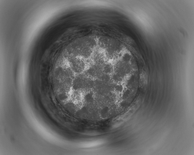 X0000112040765200908311236