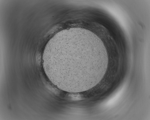 X0000112040767200908311236