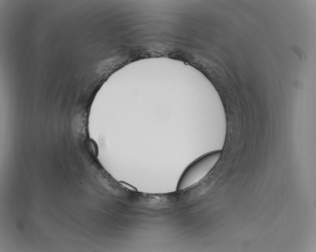 X0000112040768200908311236