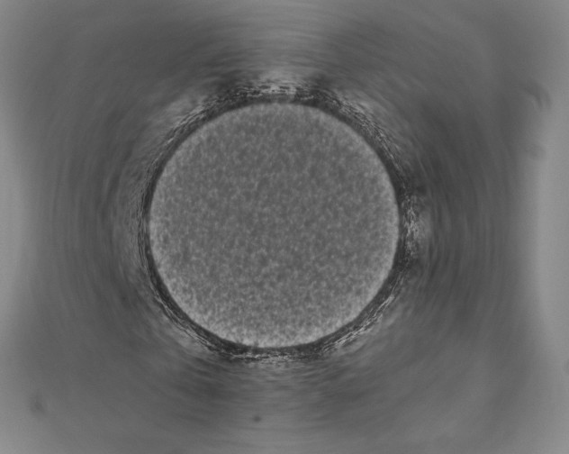 X0000112040769200908311235