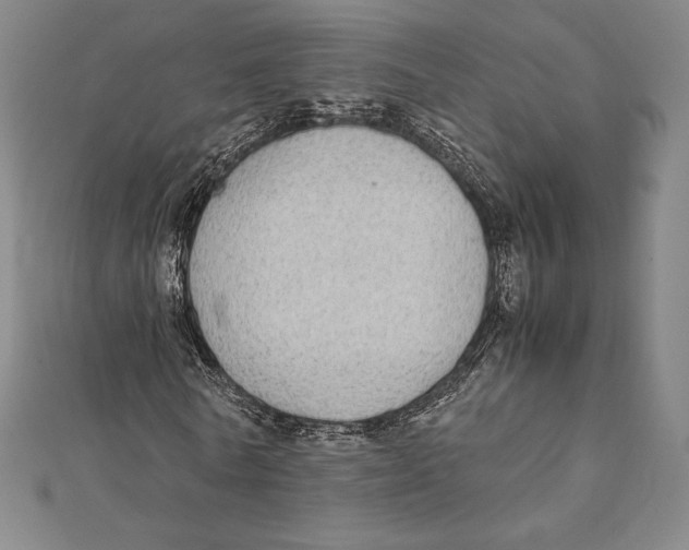 X0000112040770200908311235