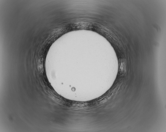 X0000112040771200908311235