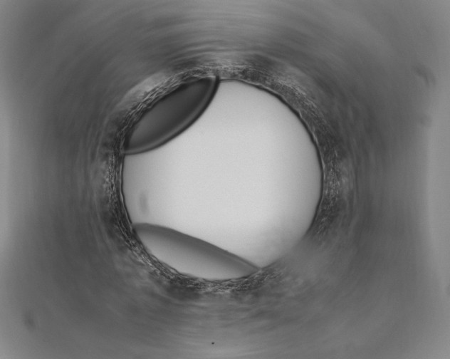 X0000112040773200908311235