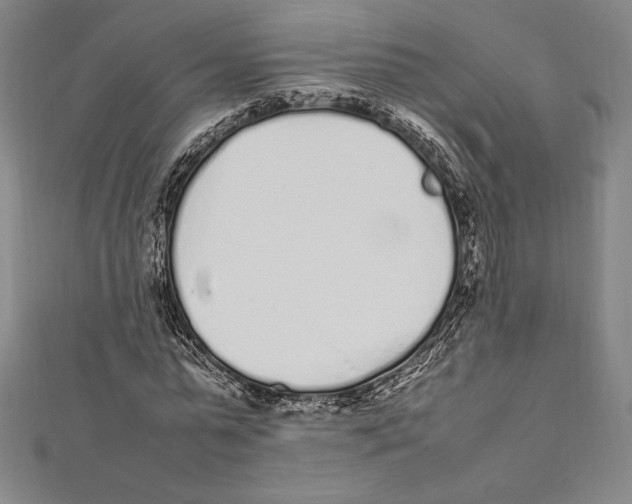 X0000112040775200908311235