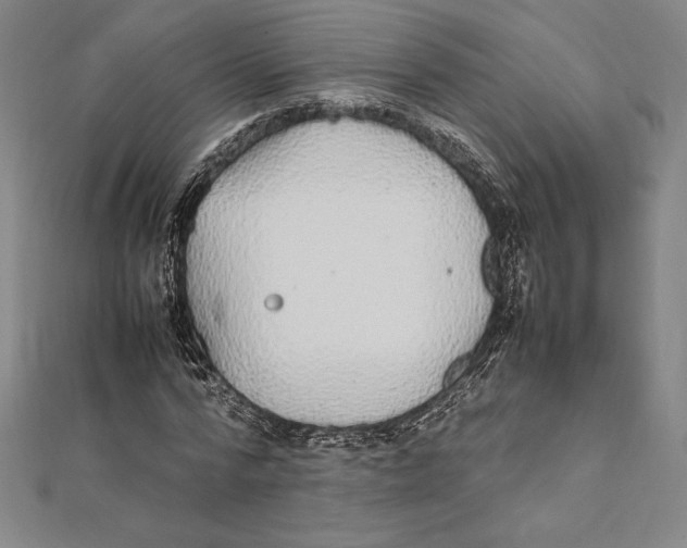 X0000112040776200908311235