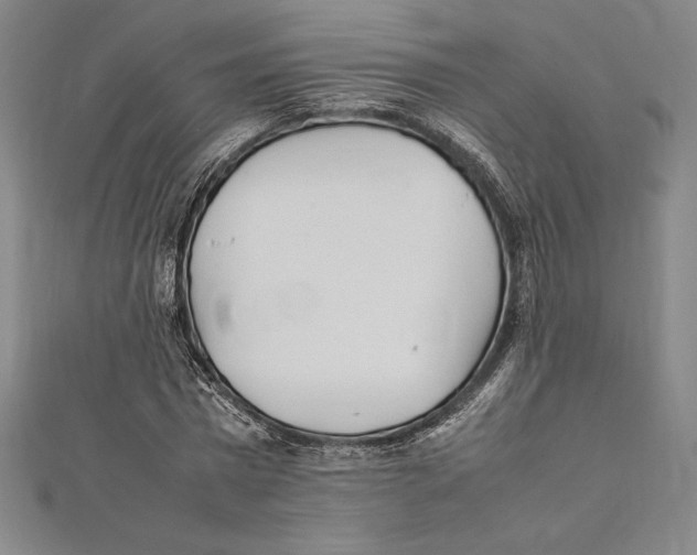 X0000112040777200908311235