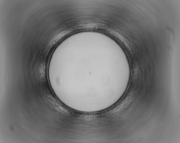X0000112040778200908311235