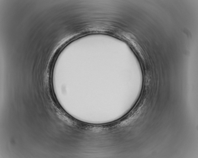 X0000112040779200908311235