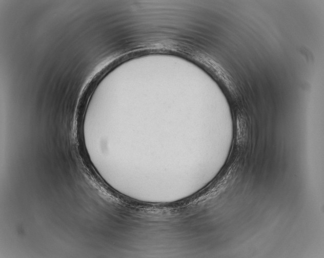 X0000112040780200908311235