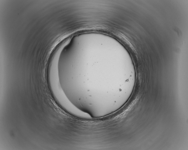 X0000112040781200908311235