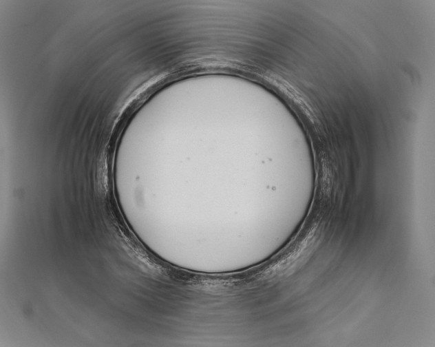 X0000112040782200908311235