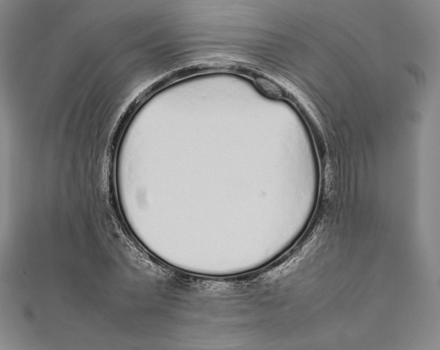 X0000112040783200908311235