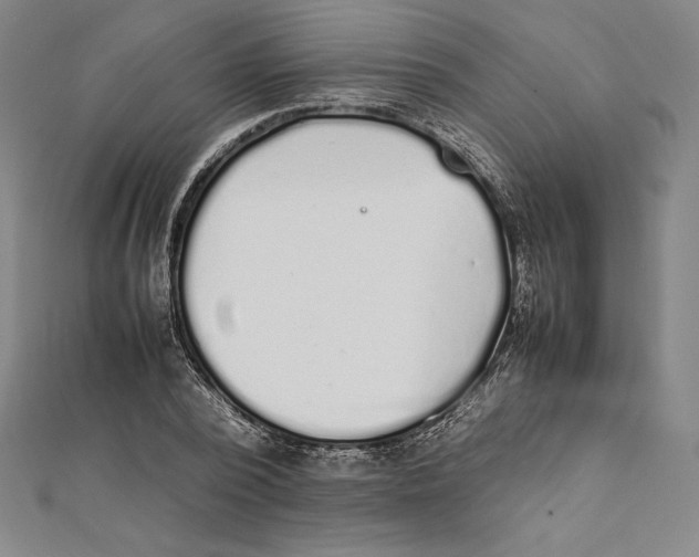 X0000112040784200908311235