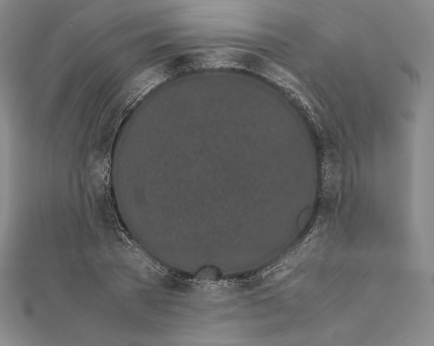 X0000112040785200908311235